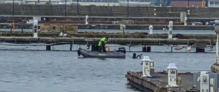 Kalamış Yat Limanı’nda kapsamlı yenileme süreci