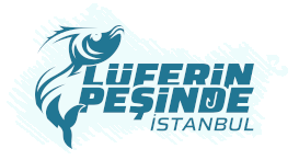 Lüferin Peşinde